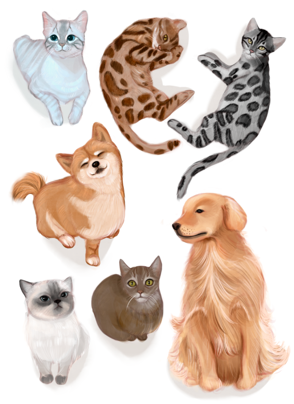 Cats and dogs collection